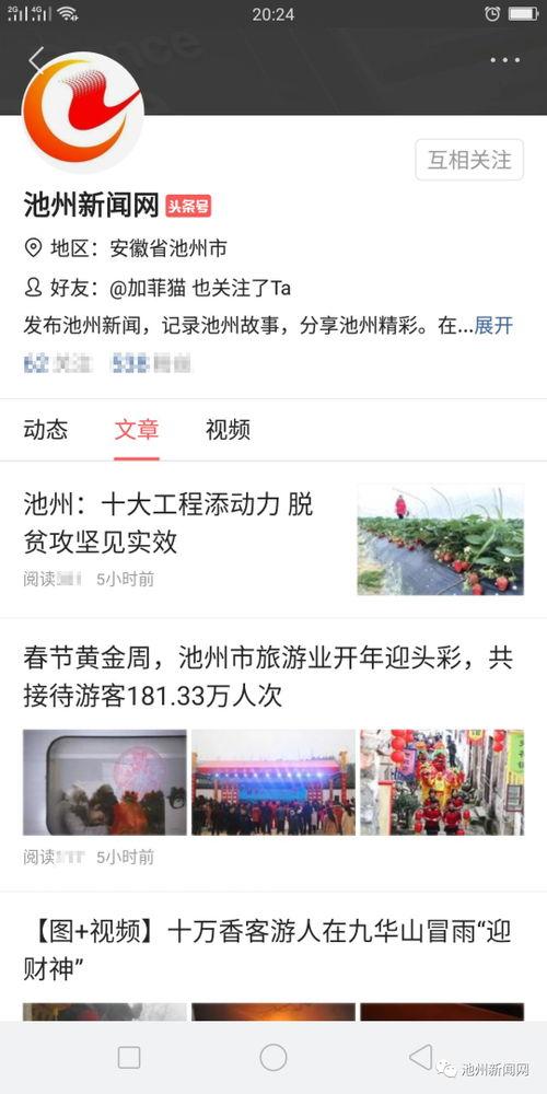 萧县新闻网头条号公示,公示最新动态，聚焦民生热点与政策解读