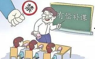 瓜哥老师为什么被开除