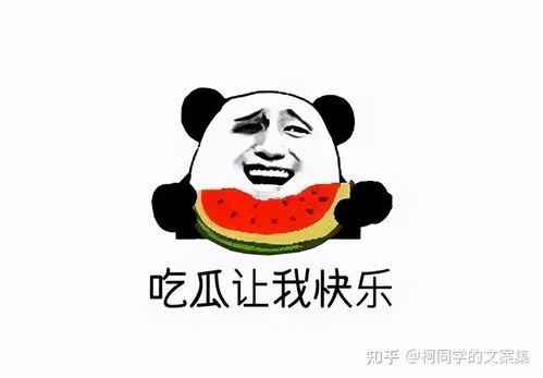 吃瓜娘们文案,网络热词背后的社会现象与心理解读