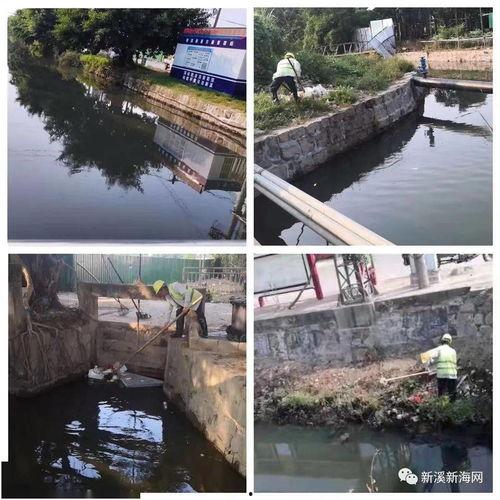 龙湖新溪爆料最新消息,揭秘神秘项目进展与影响