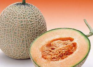 野鸟吃哈密瓜图片,哈密瓜下的自然画卷