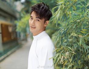 爱情是什么娱乐吃瓜酱,娱乐吃瓜酱视角下的情感盛宴